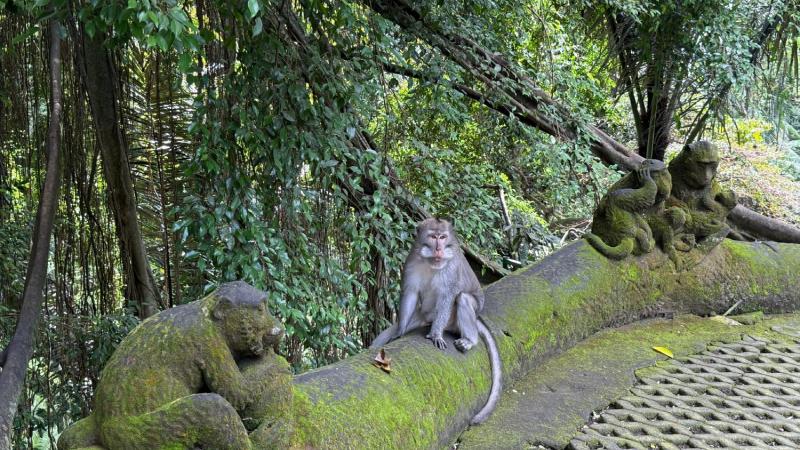 Ubud Full Day Tour