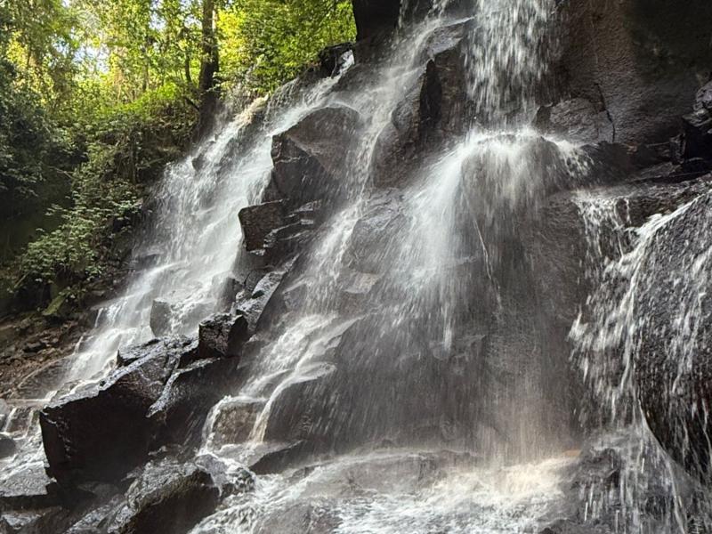 Bali Waterfall Day Trip