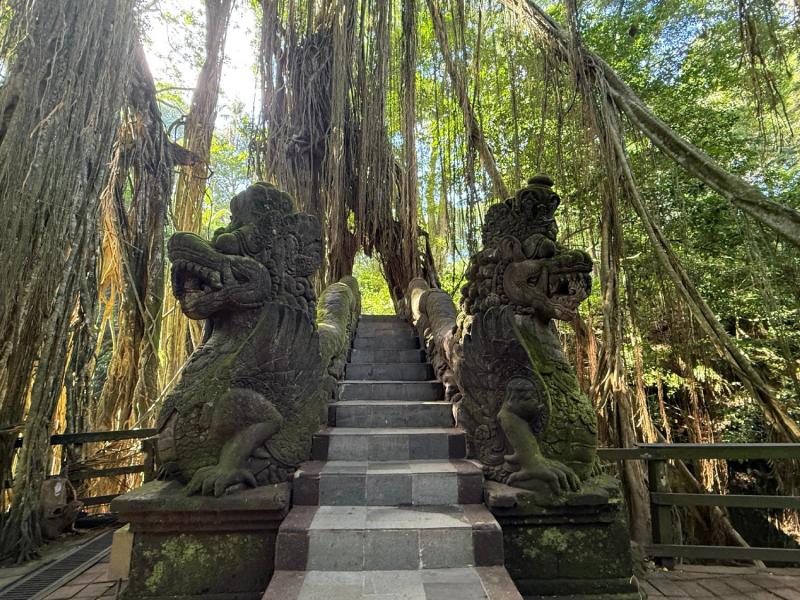 Taxi service, Bali  airport transfer