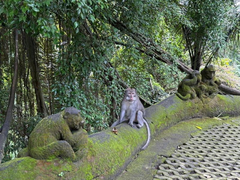 Ubud Full Day Tour
